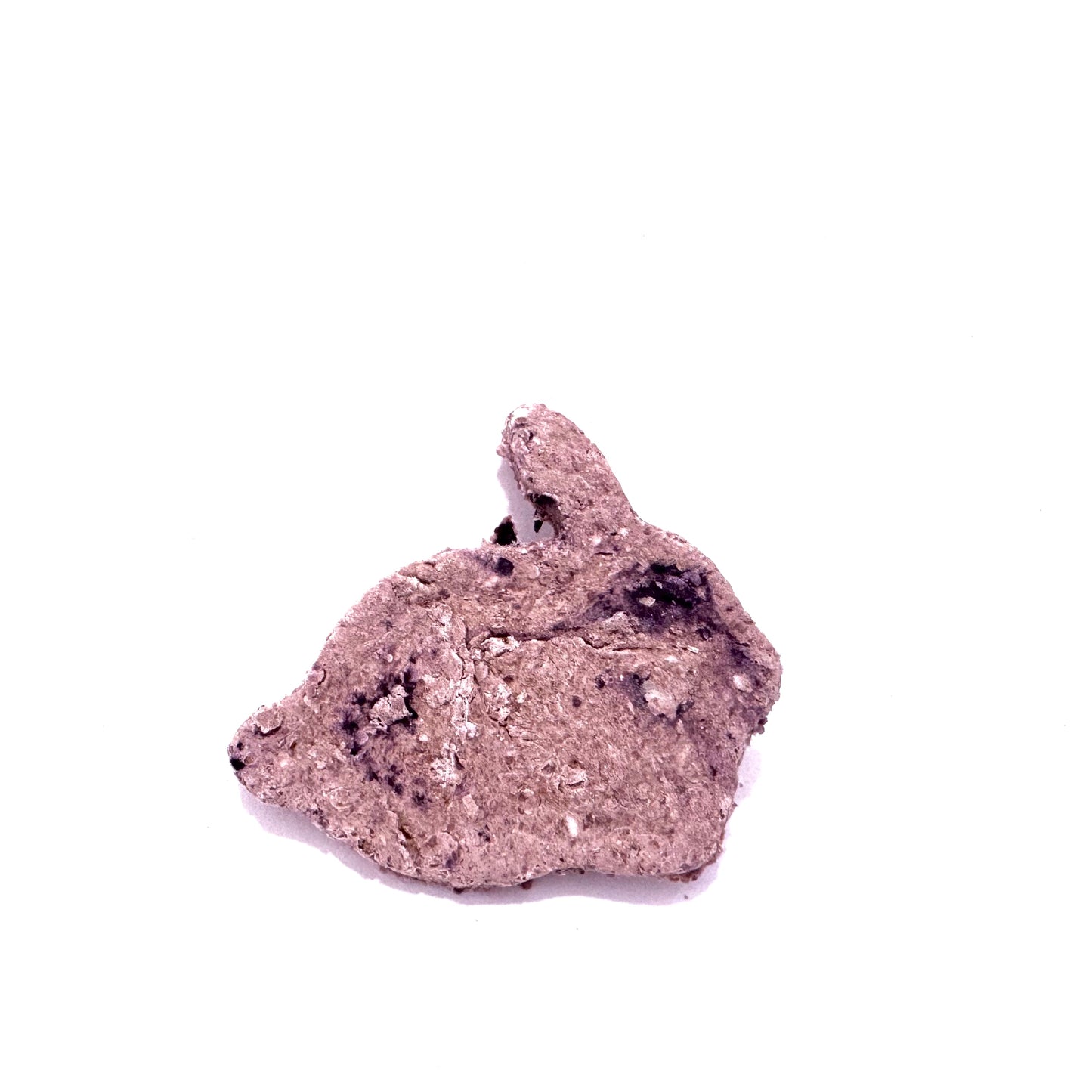 Organic Bunny Cookies