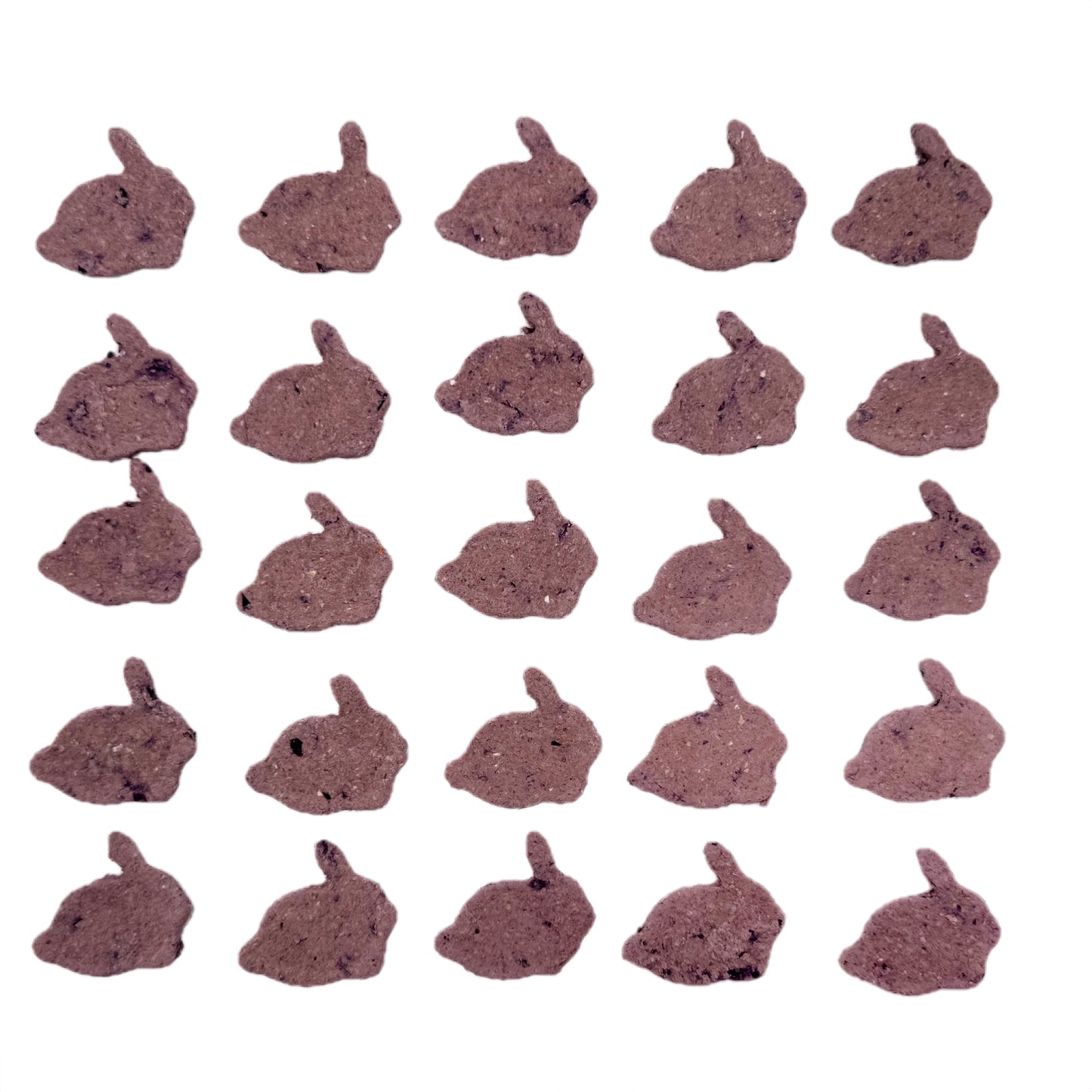 Organic Bunny Cookies