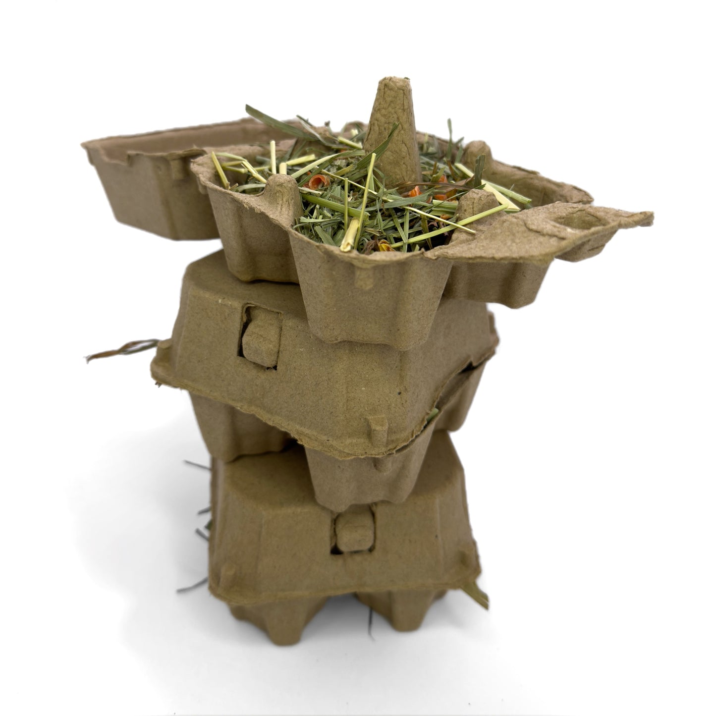 Refillable Forage Puzzle Kit