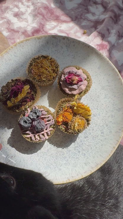 Birthday/Gotcha Day Cupcakes